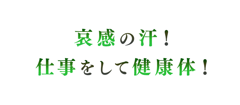 哀感の汗!仕事をして健康体!